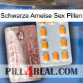Black Ant Sex Pills new13